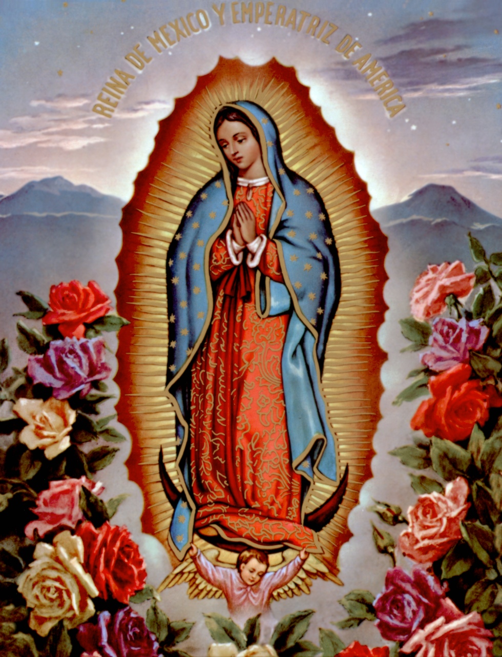 our-lady-of-guadalupe-false